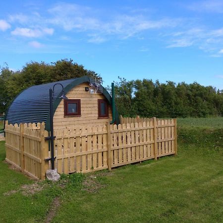 Shanagarry / Ballycotton Glamping Pod Cork Buitenkant foto