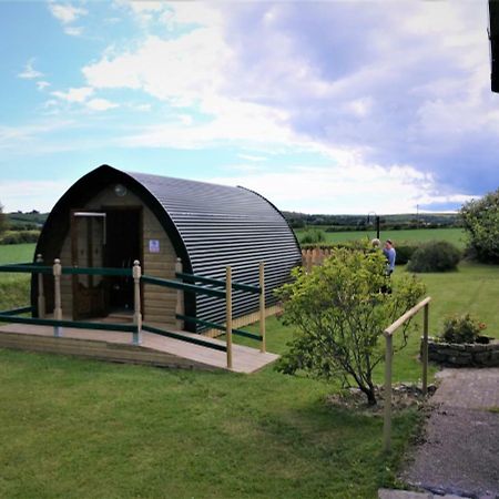 Shanagarry / Ballycotton Glamping Pod Cork Buitenkant foto